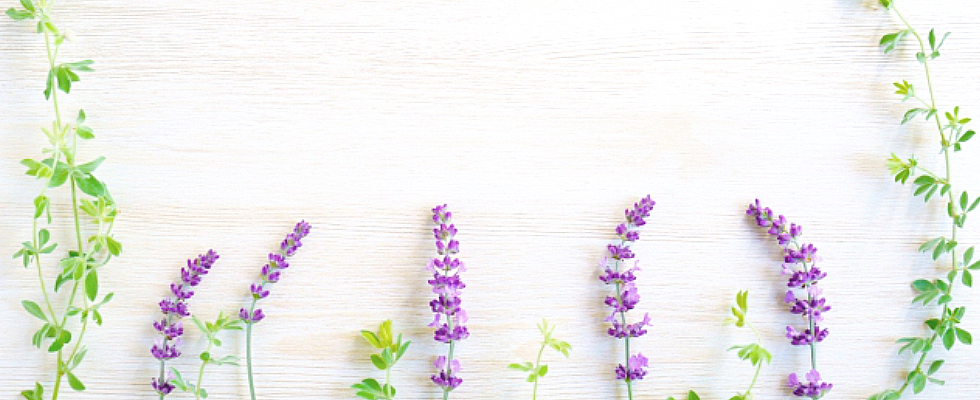 ベルフィーヌ商品画像